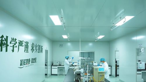 新疆木壘 優駝長眉駝工廠投產，以生物科技驅動全產業鏈，擘畫鄉村振興新藍圖