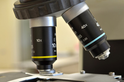 生物經濟 定義、核心特征與生物技術開發服務的驅動作用