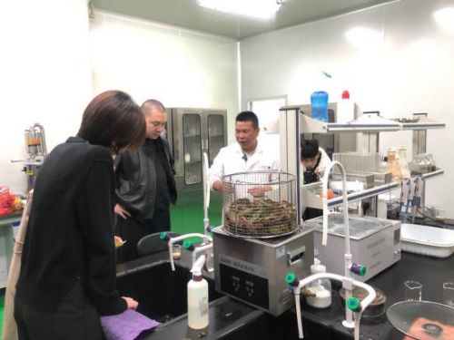 科技賦能農業新篇章 CCTV 1聚焦云谷田園LED植物工廠，珍稀本草金線蓮成功培育引領生物技術新服務